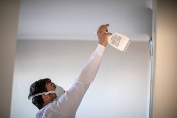 Best Commercial Mold Removal  in Cold Spring Harbor, NY
